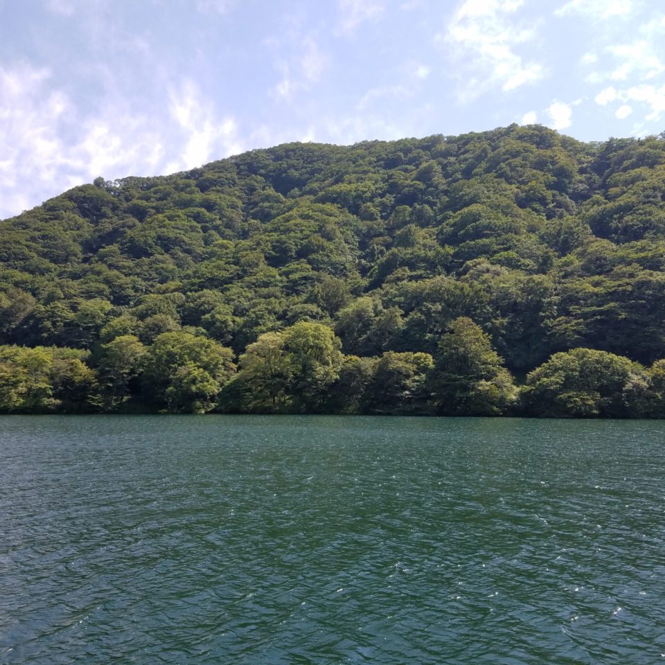 今年の梅雨は、長かったですね。