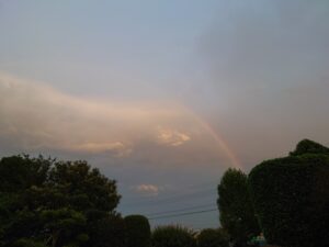 梅雨の気配。