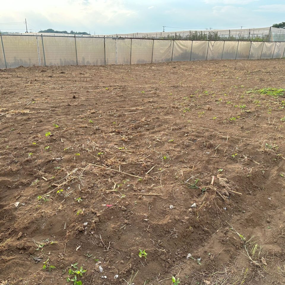 市川市　近隣の苦情になりうる雑草問題　この時期造園屋さんが忙しく対応できない　そんなお悩みを解決草刈り工事